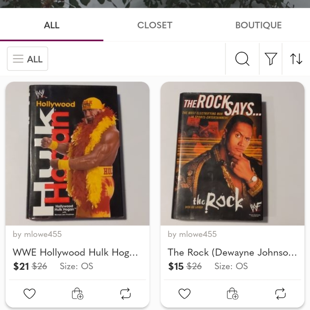 2 Books - Hollywood Hulk Hogan And The Rock (Dwayne Johnson)„
